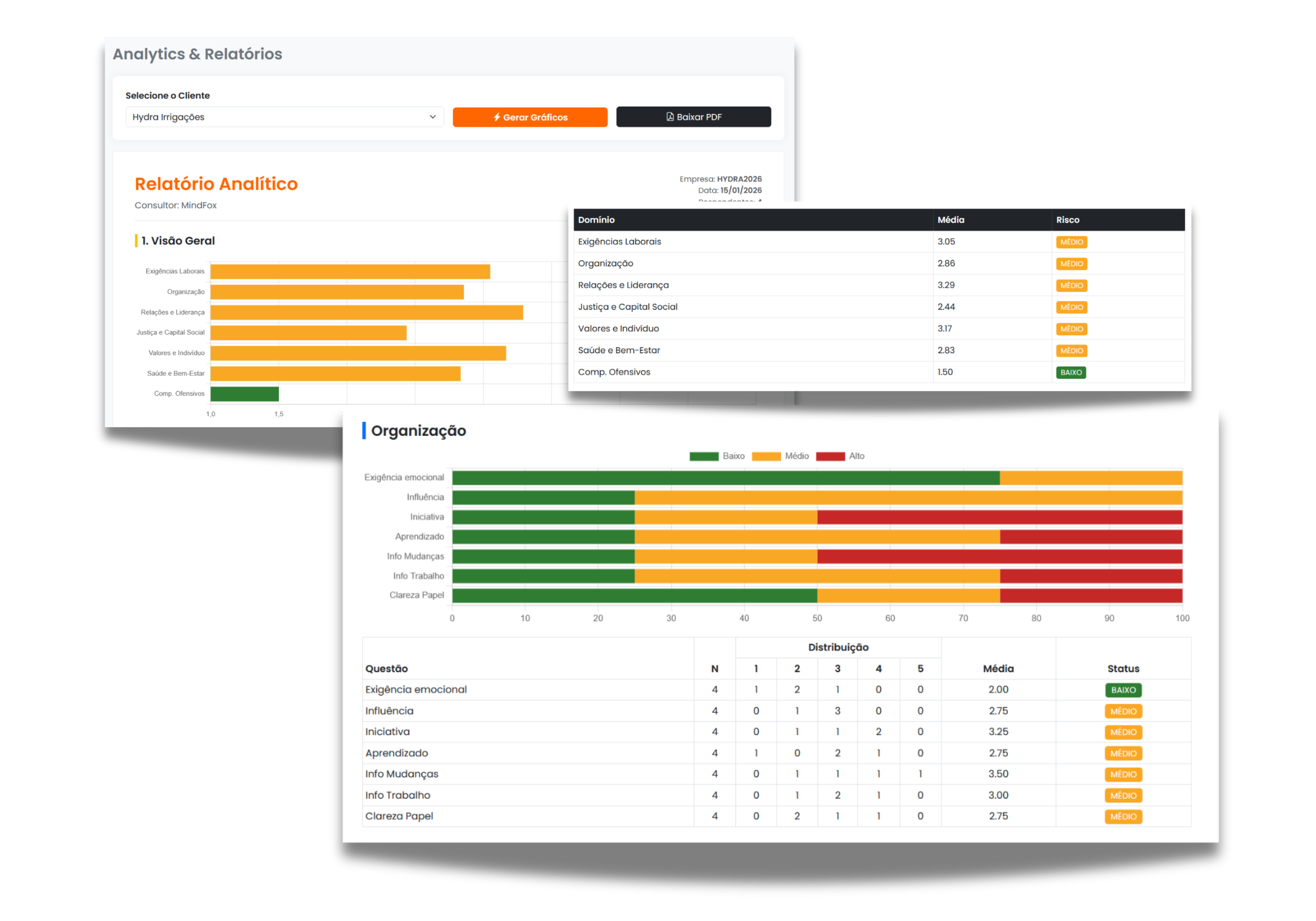 Print do Sistema MindFox